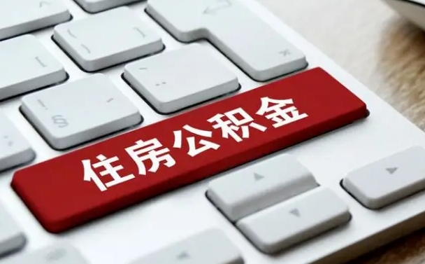 石河子公积金公司交的部分怎么提取（公积金提取公司缴纳部分）